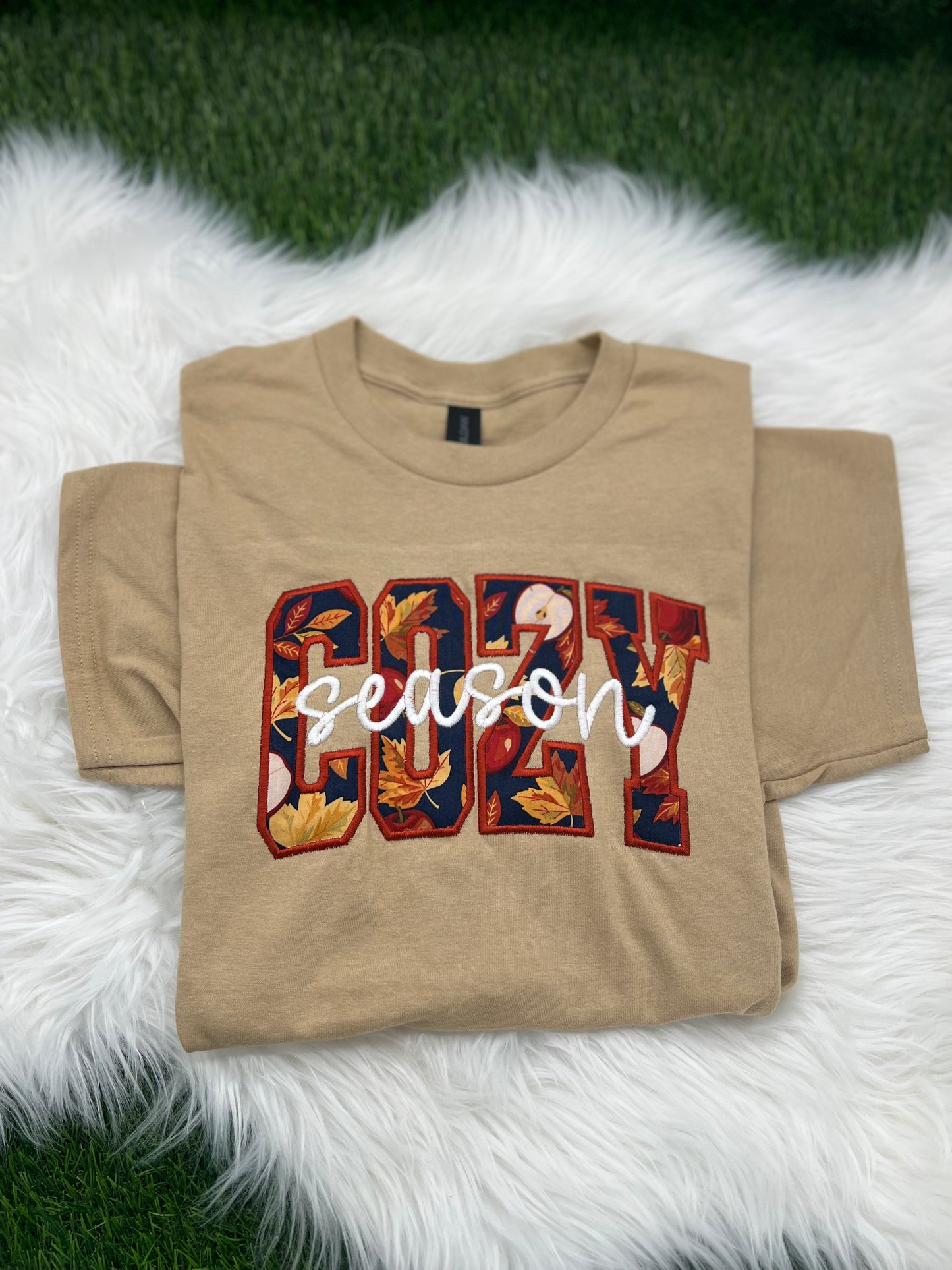 COZY (FALL 2026 EDITION)
