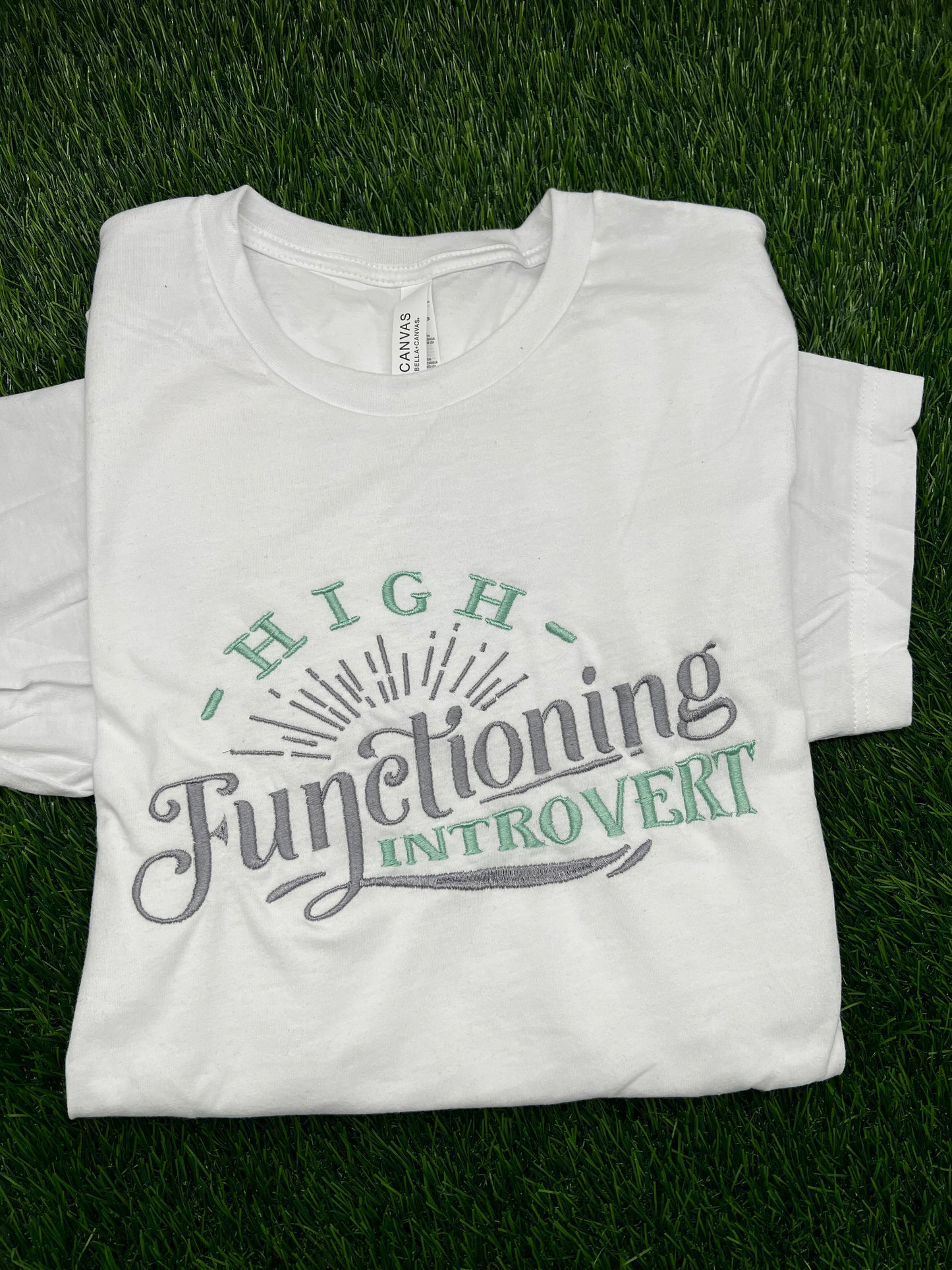 High Functioning Introvert
